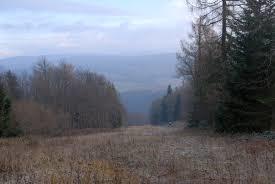 Magura Małastowska
